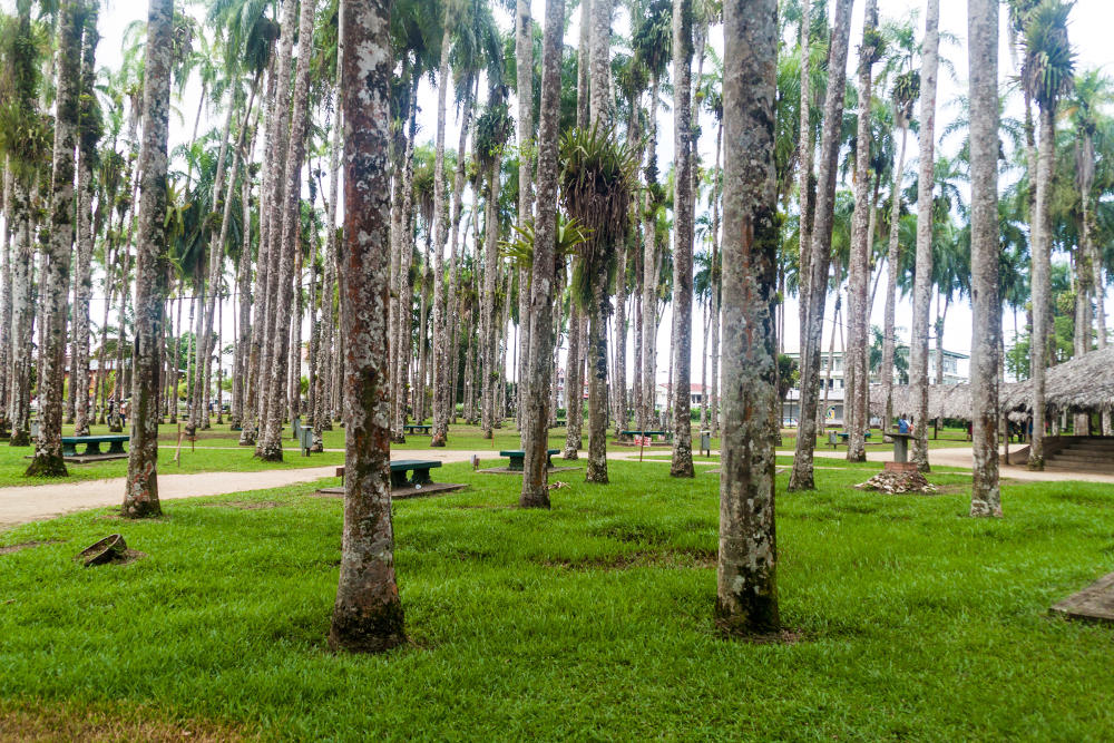 Palmentuin park in Paramaribo, capital of Suriname.